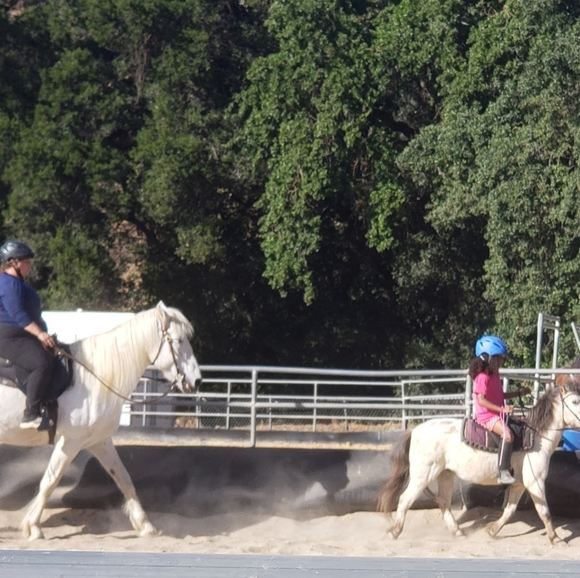 Meet your Posher Amy - Picture 2 of 5